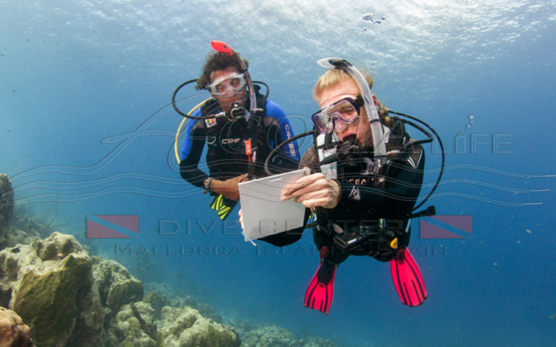 PADI Advanced Open Water Course