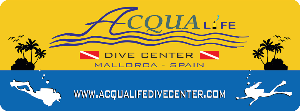 Book Scuba dive in Mallorca.