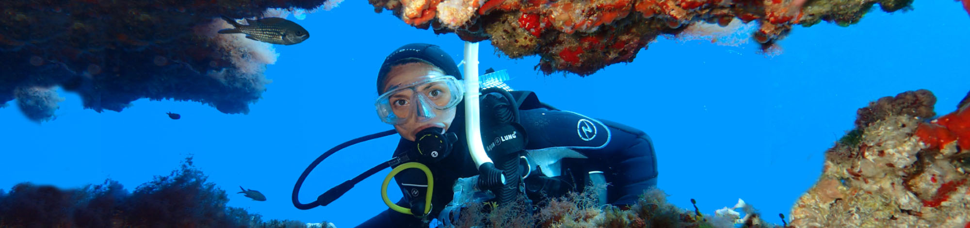 dive in calas de mallorca